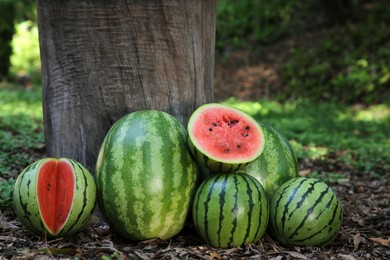 Many ripe whole and cut watermelons outdoors