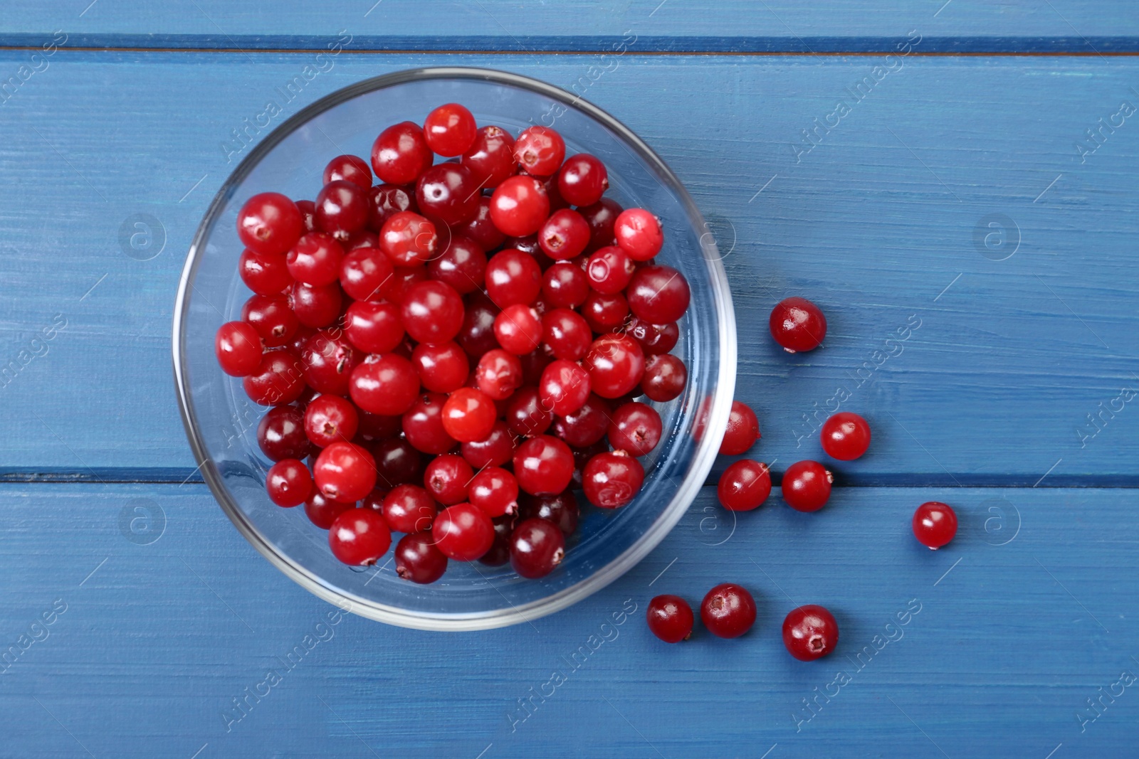 Photo of Fresh ripe cranberries in glass bowl on blue wooden table, top view