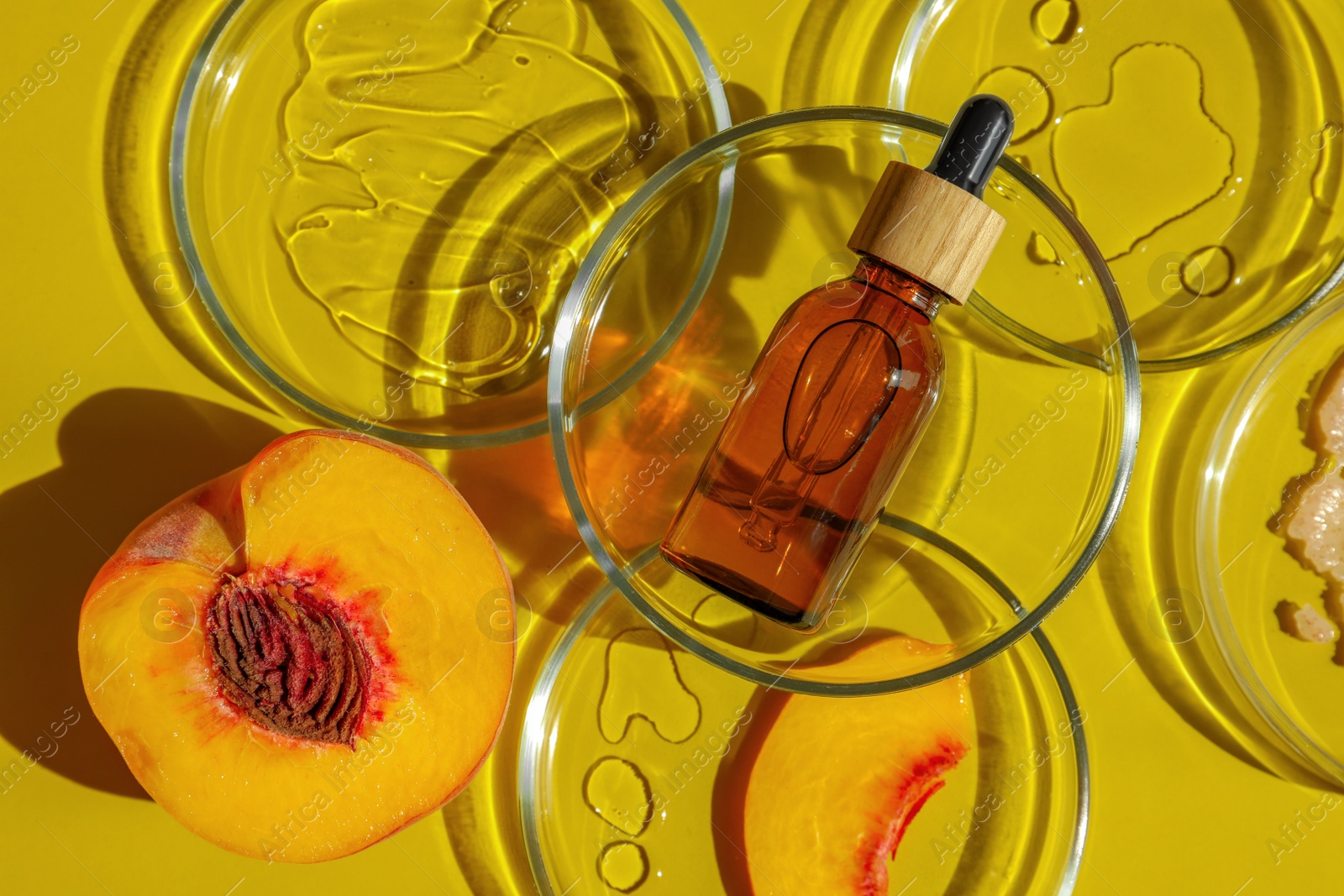 Photo of Flat lay composition with Petri dishes on yellow background