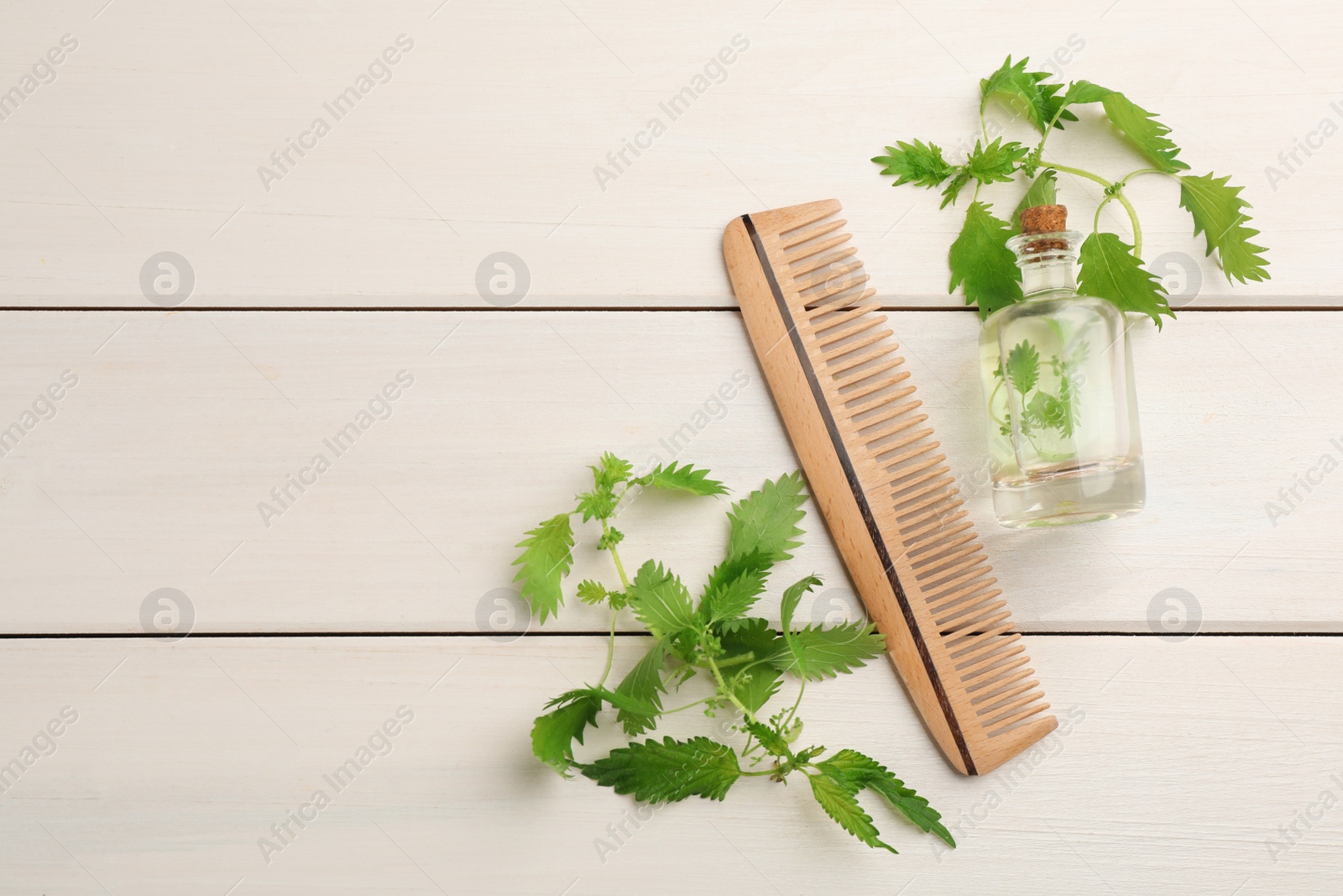 Photo of Stinging nettle, extract and comb on white wooden background, flat lay with space for text. Natural hair care