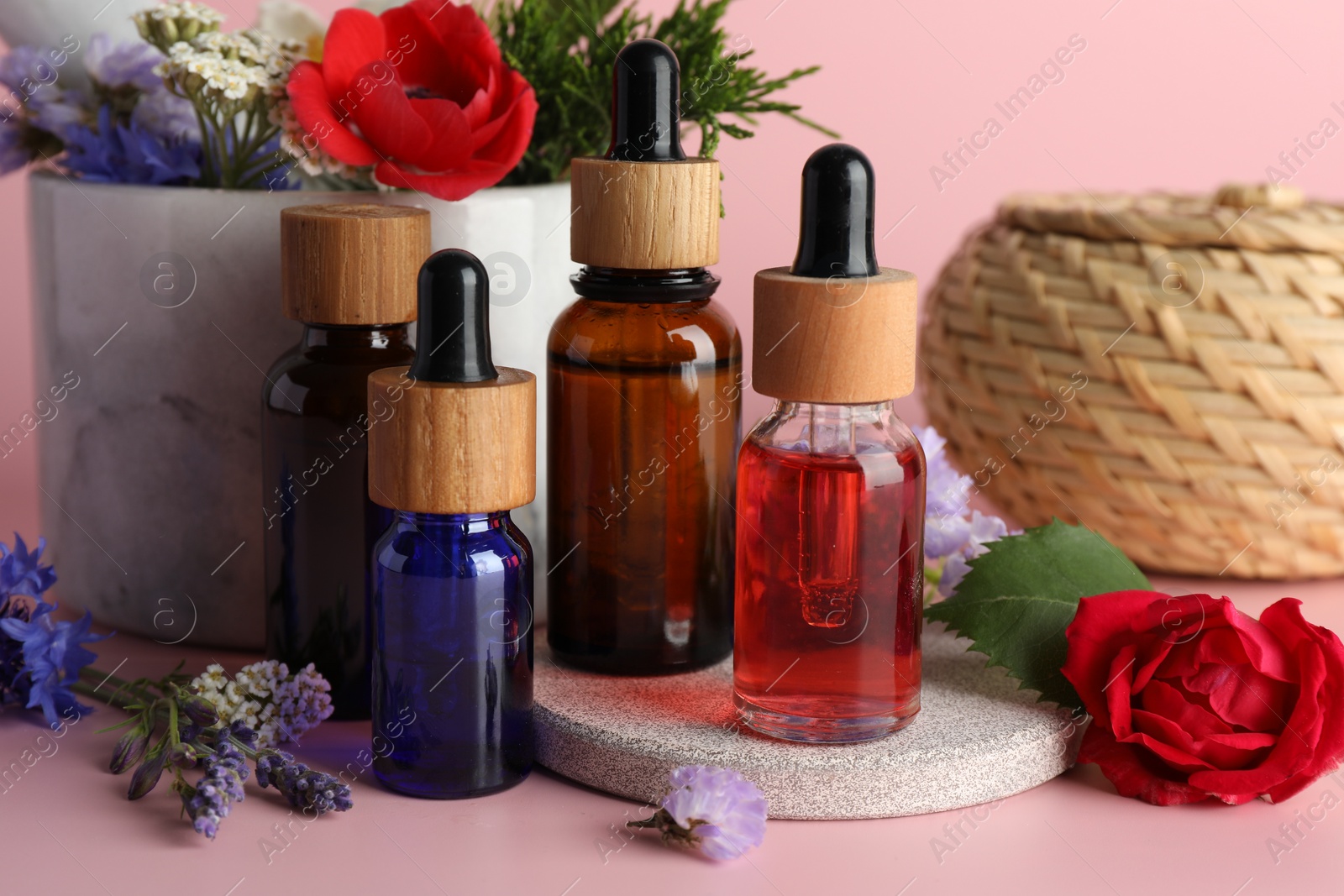 Photo of Aromatherapy. Different essential oils and flowers on pink background