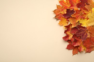 Photo of Autumn season. Colorful maple leaves on beige background, top view with space for text