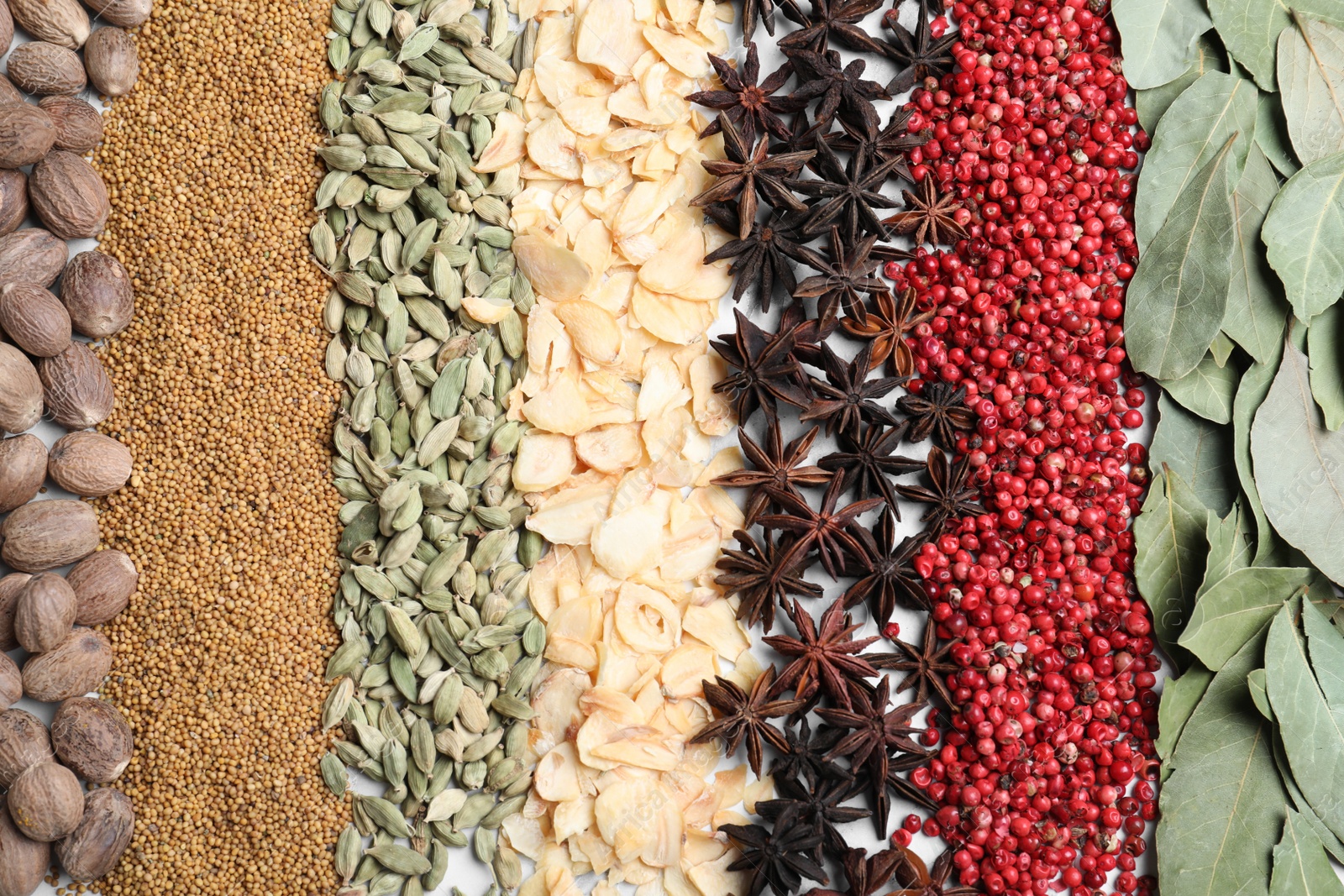 Photo of Many different spices as background, top view