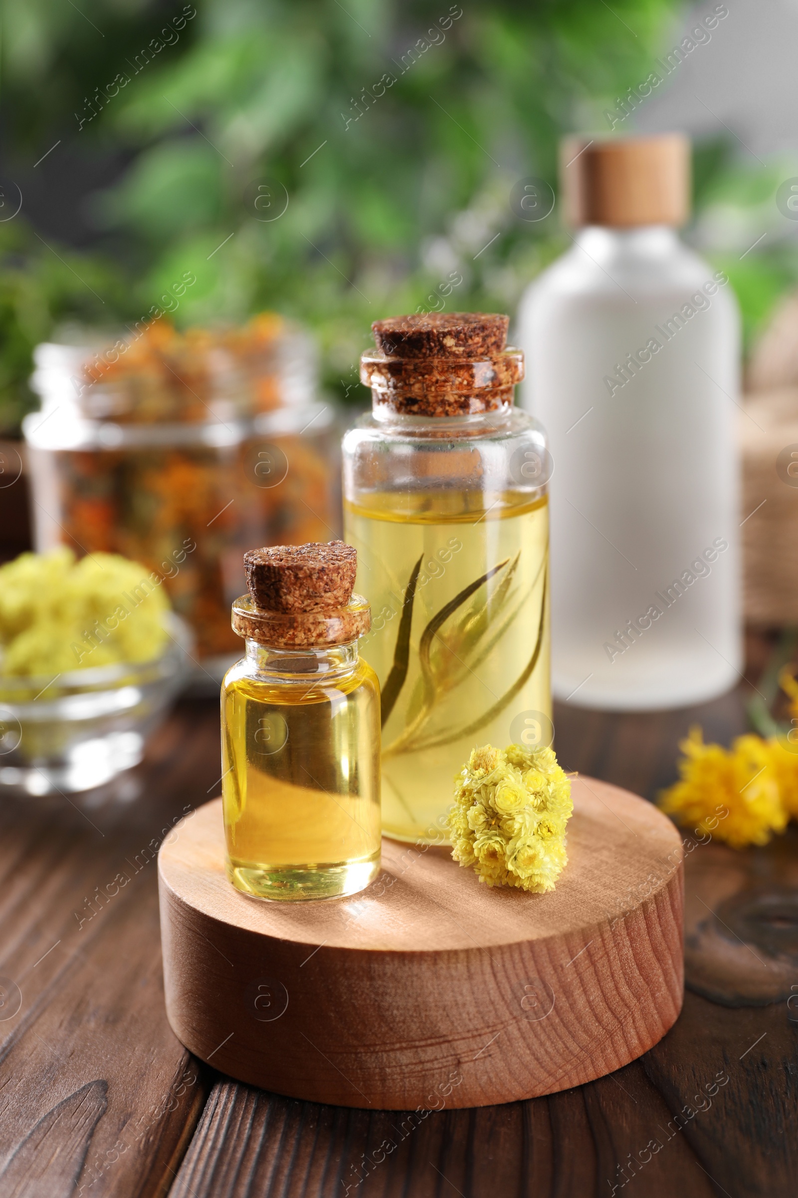 Photo of Bottles of essential oils and dry herbs on wooden table