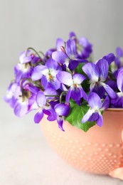 Photo of Beautiful wood violets in cup on light table, closeup. Spring flowers
