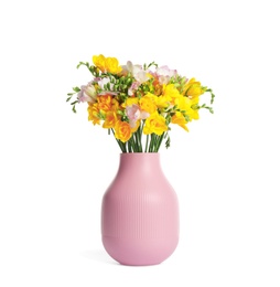 Photo of Beautiful blooming freesias in pink vase isolated on white