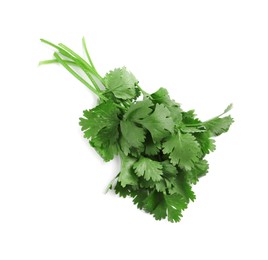 Photo of Bunch of fresh coriander on white background, top view