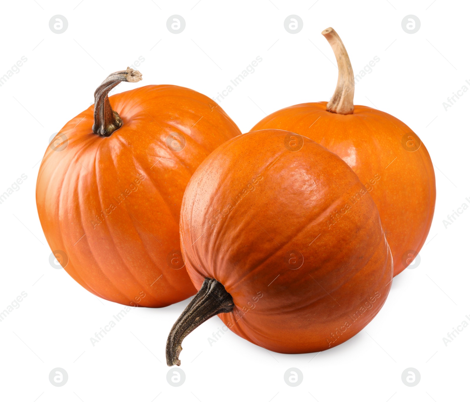 Photo of Many fresh orange pumpkins isolated on white