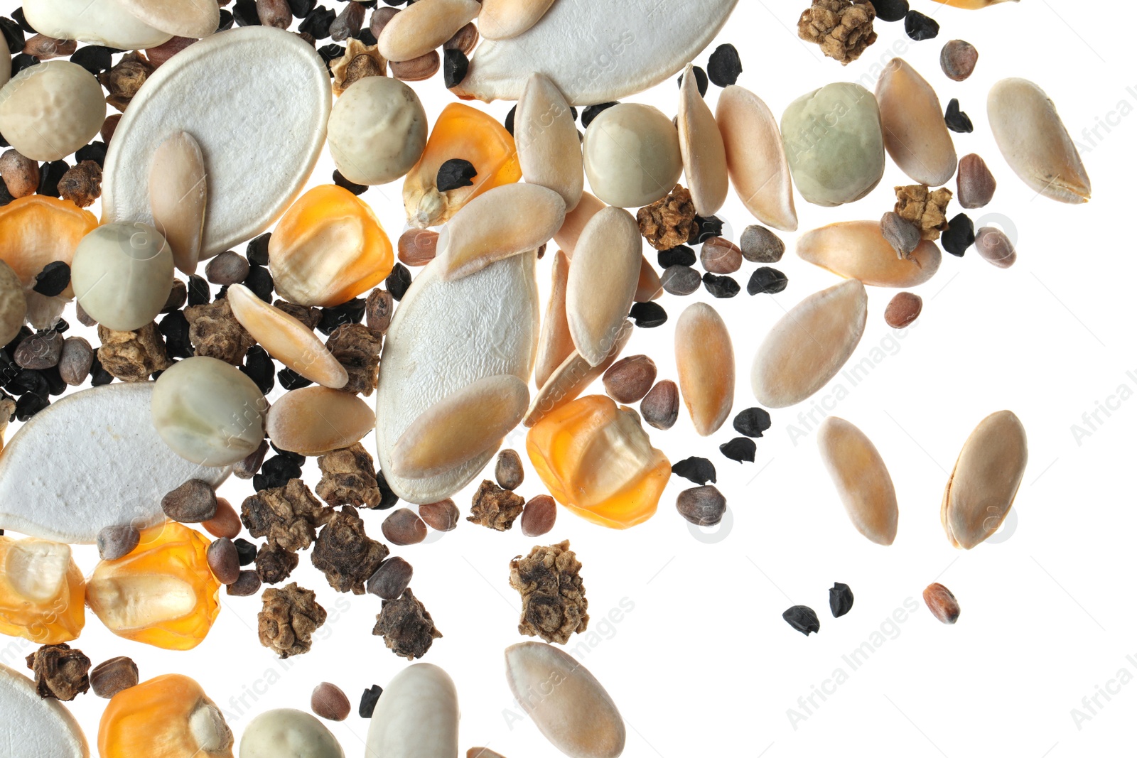 Photo of Mix of vegetable seeds on white background, top view