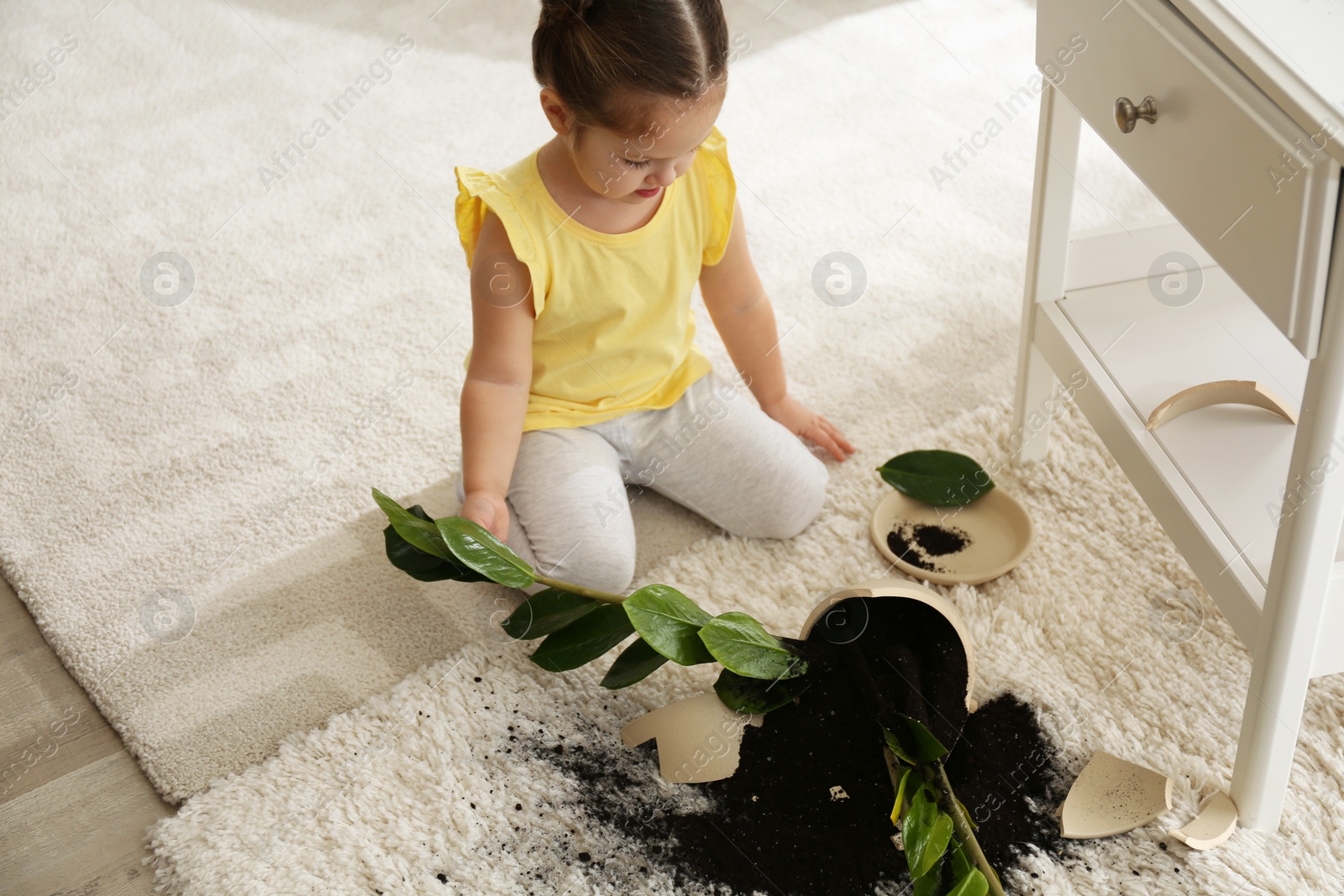 Photo of Little girl near houseplant and broken pot at home