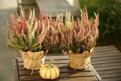 Photo of Beautiful heather flowers in pots and pumpkin on wooden table outdoors