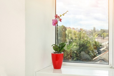 Photo of Beautiful tropical orchid flower in pot on windowsill