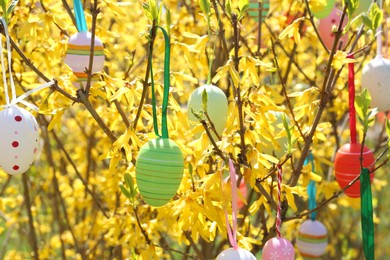 Photo of Beautifully painted Easter eggs hanging on tree outdoors, closeup