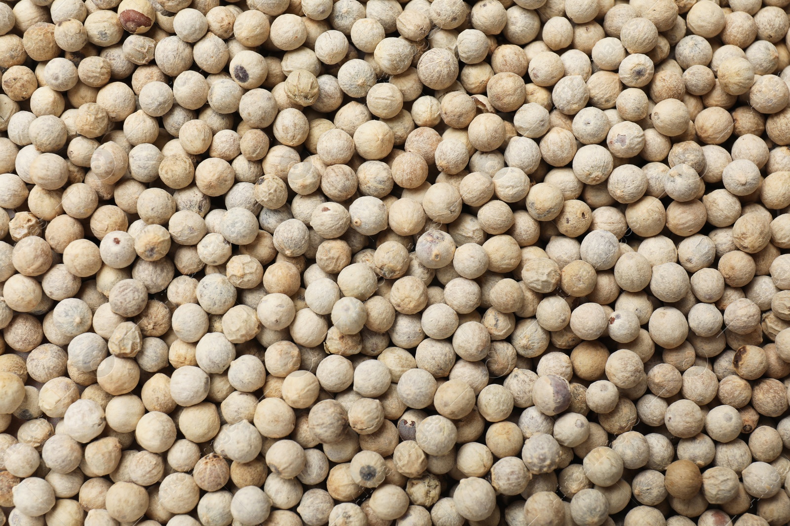 Photo of Aromatic spice. White peppers as background, top view