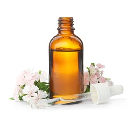 Bottle of essential oil and flowers on white background