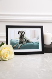 Photo of Frame with picture of dog, burning candle and rose flower on light grey table, closeup. Pet funeral
