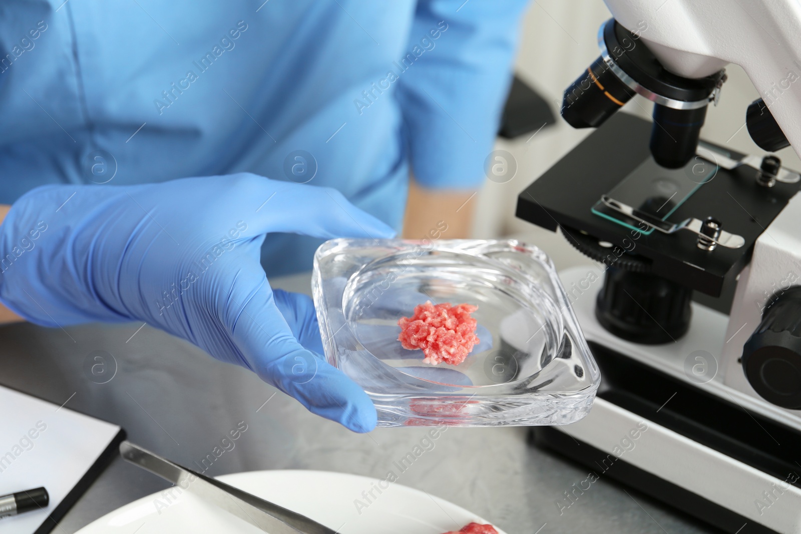 Photo of Scientist checking meat at table in laboratory, closeup. Quality control