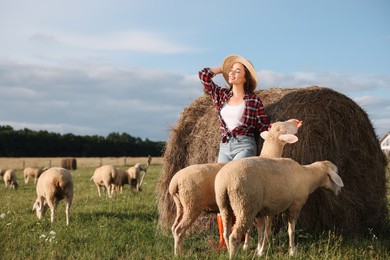 Photo of Smiling woman and sheep near hay bale on animal farm. Space for text