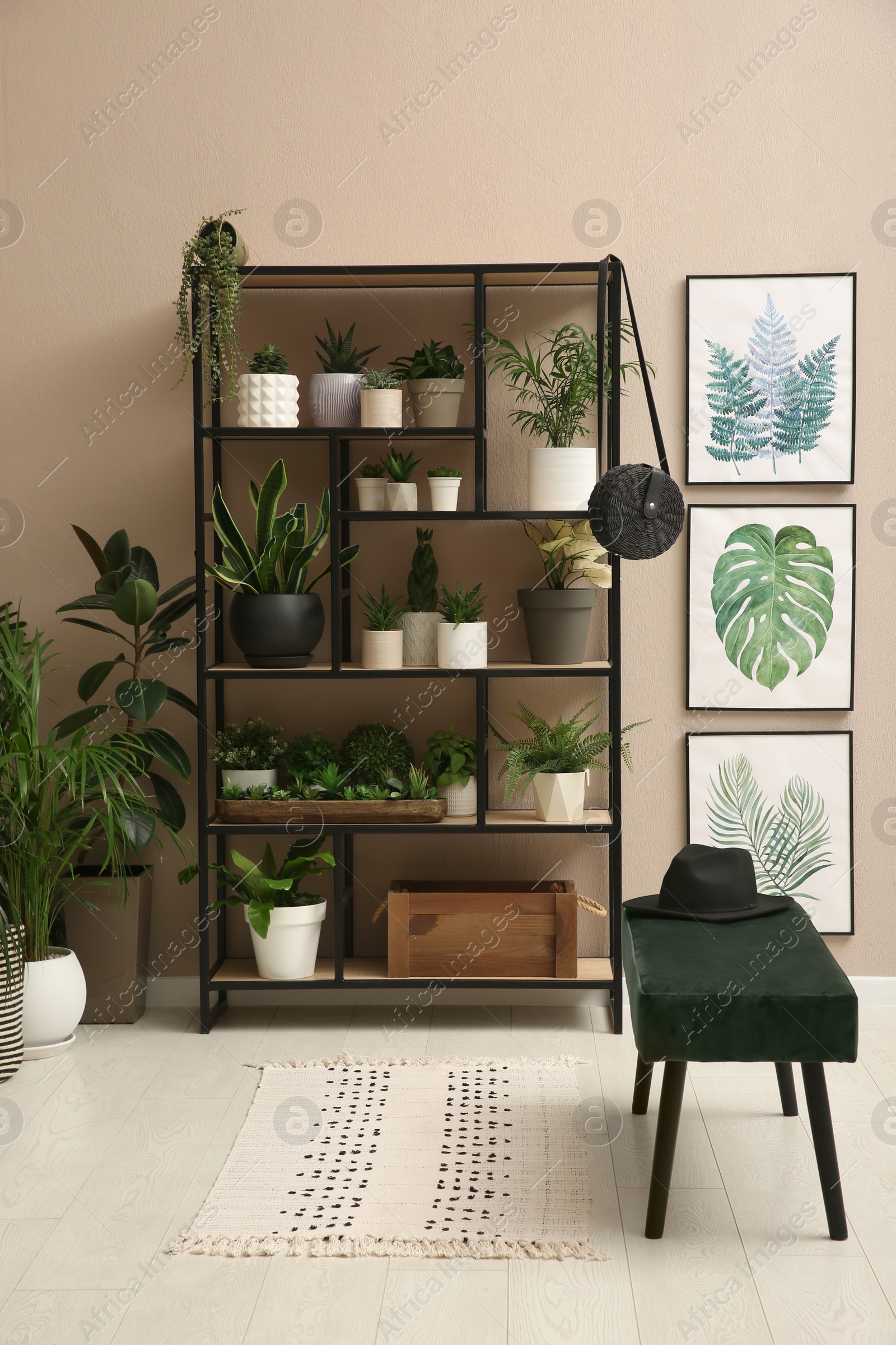 Photo of Stylish room interior with many beautiful houseplants