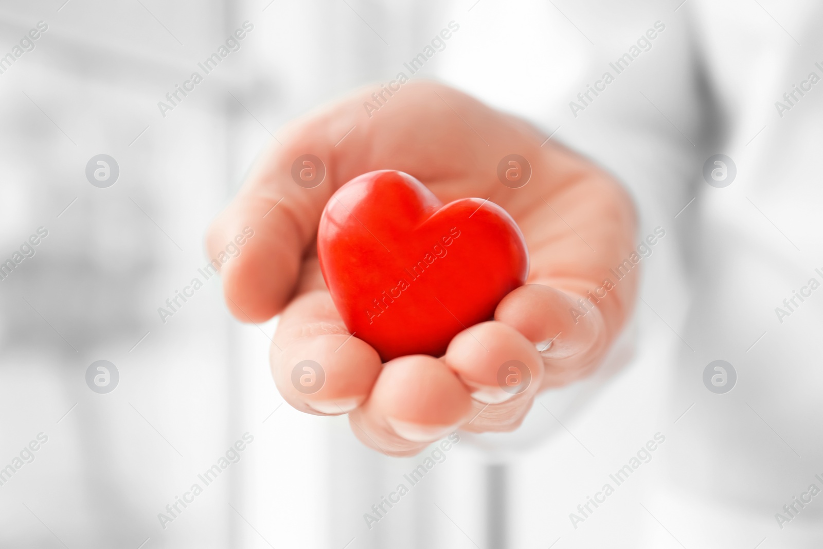 Photo of Doctor holding small red heart, closeup. Heart attack concept