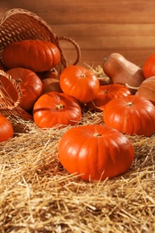 Photo of Fresh orange pumpkins and wicker basket on dry hay in barn