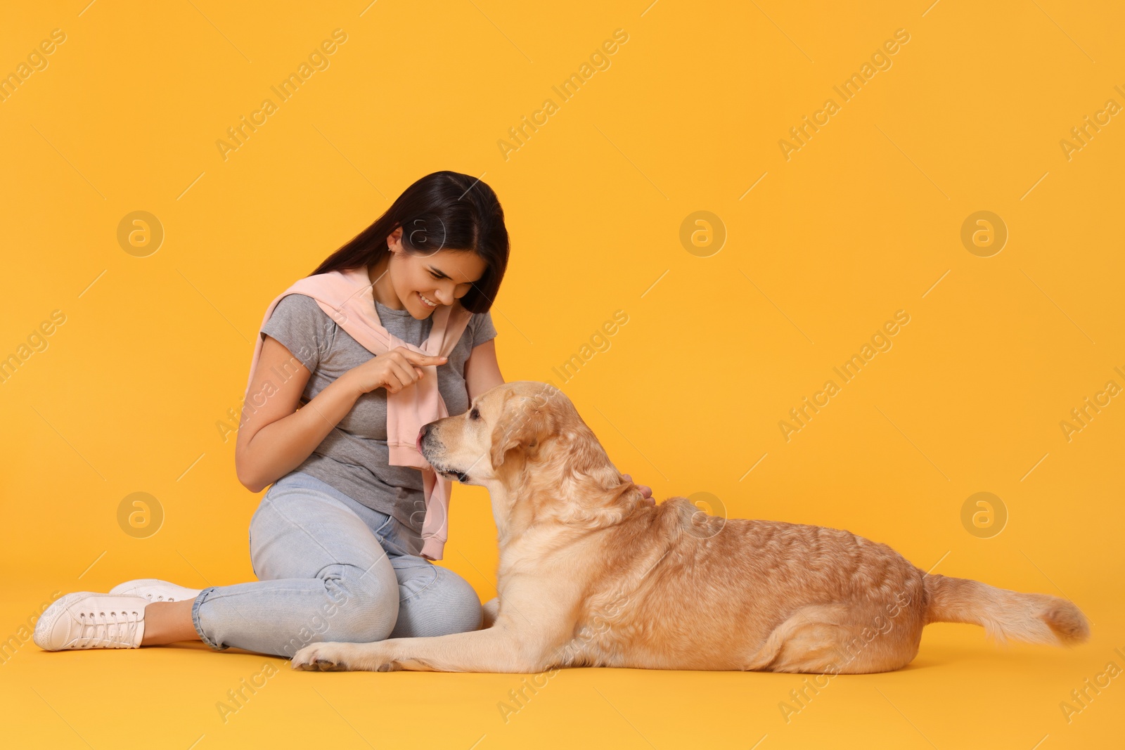 Photo of Happy woman playing with cute Labrador Retriever on orange background
