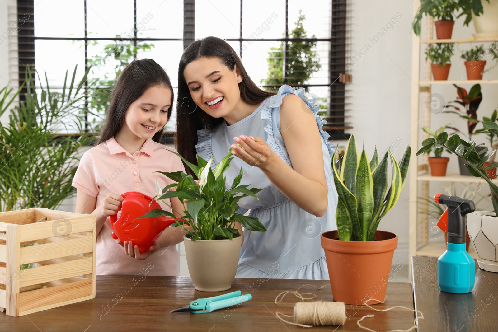 Photo of Mother and daughter taking care of plant at home