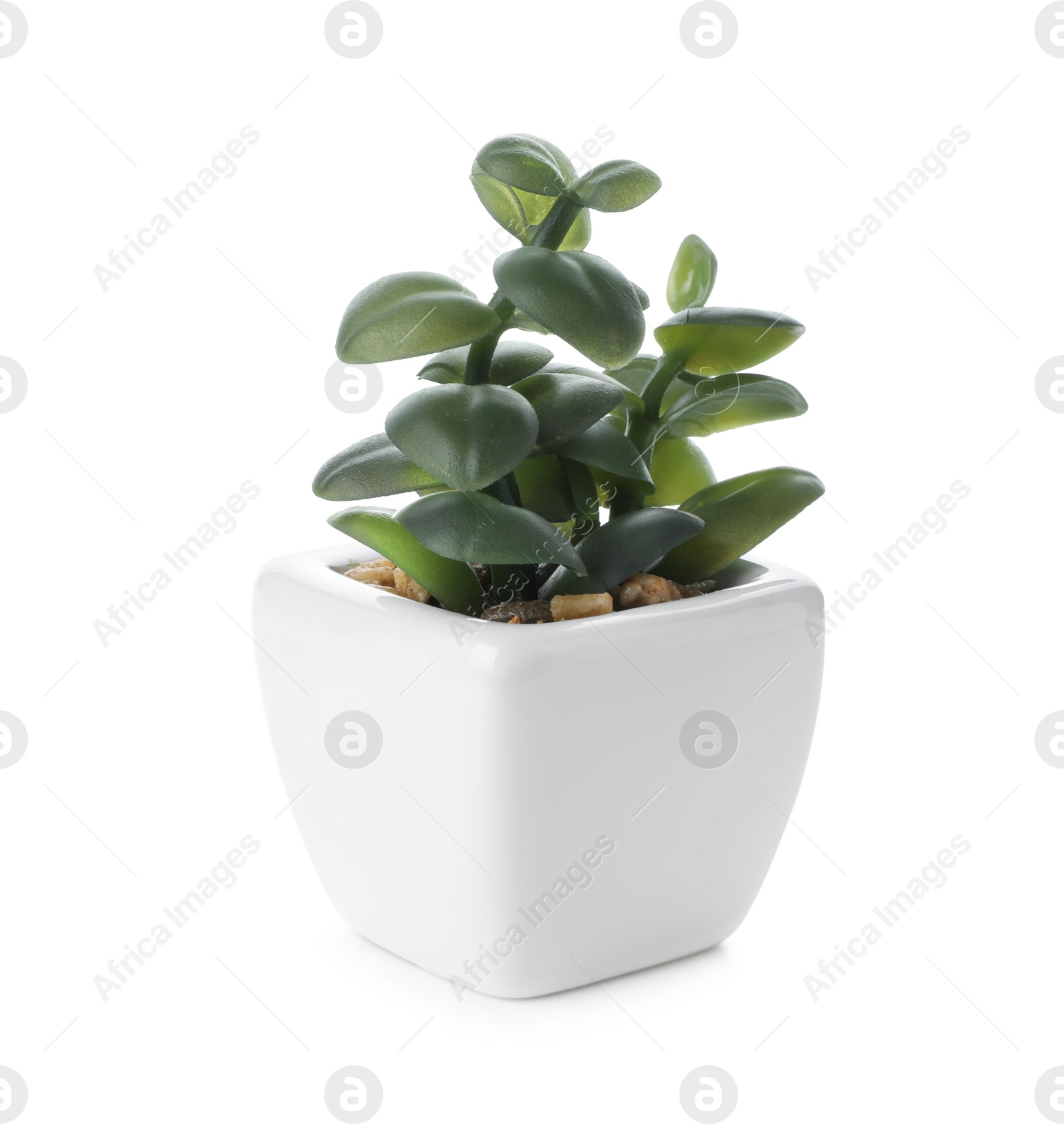 Photo of Beautiful artificial plant in flower pot isolated on white