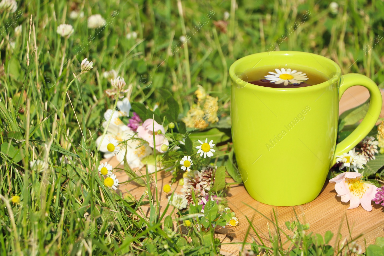 Photo of Green cup with tea, different wildflowers and herbs on wooden board in meadow. Space for text