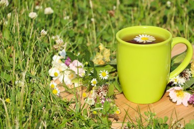 Photo of Green cup with tea, different wildflowers and herbs on wooden board in meadow. Space for text