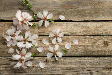 Photo of Spring season. Beautiful blossoming tree branches and flower petals on wooden table, flat lay. Space for text