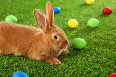 Cute bunny and Easter eggs on green grass