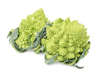 Fresh raw Romanesco broccoli on white background