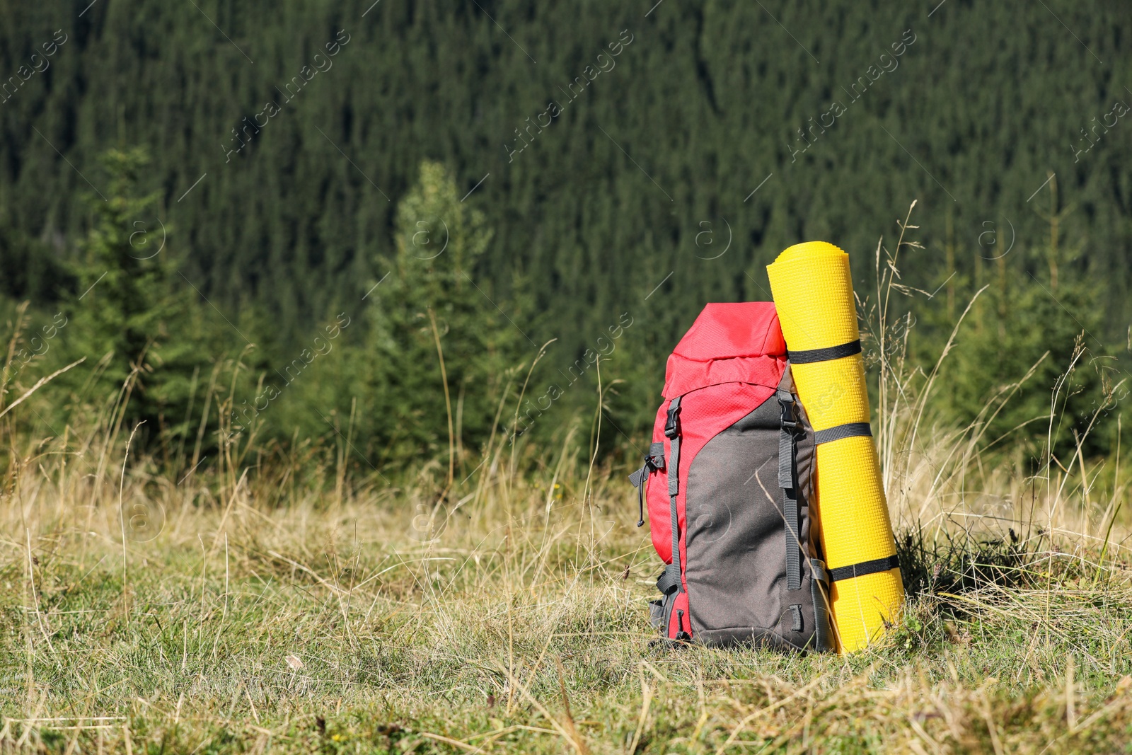 Photo of Backpack with sleeping mat on grassy hill, space for text. Mountain tourism