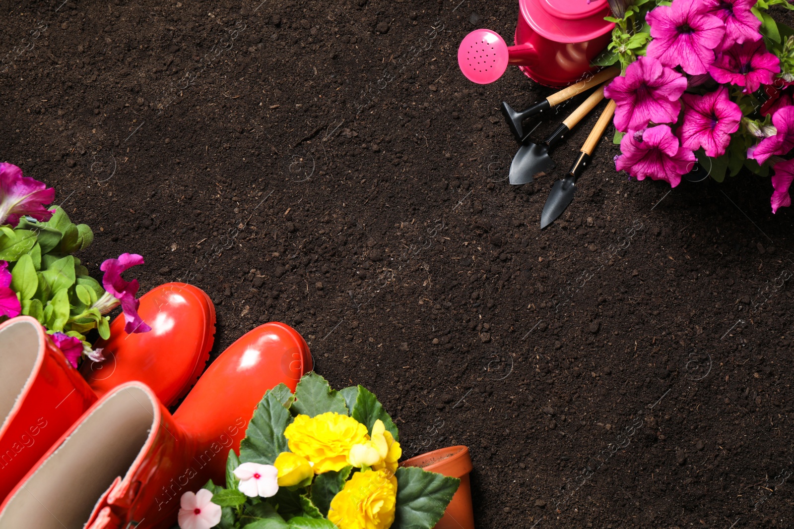 Photo of Flat lay composition with gardening tools and flowers on soil, space for text