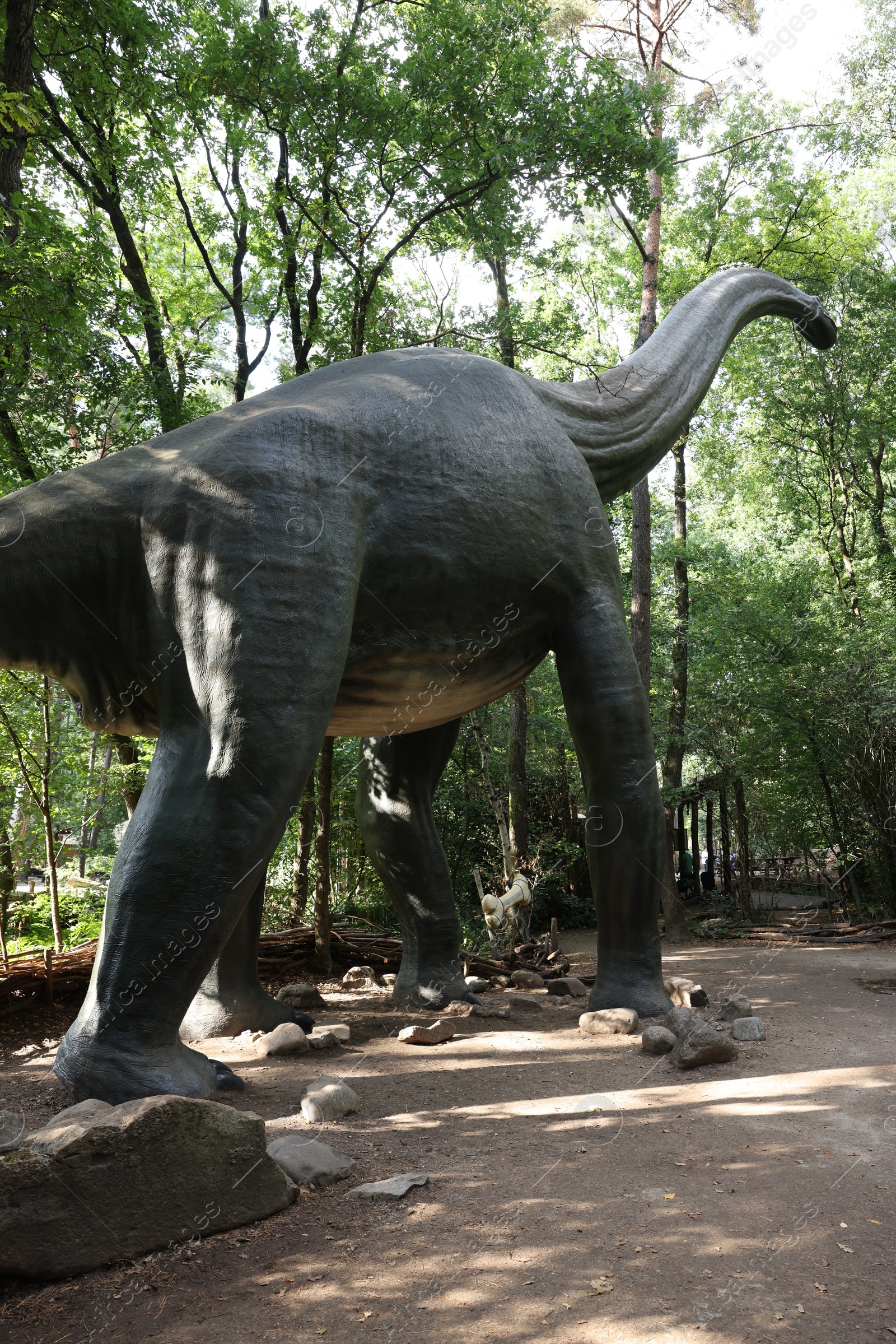 Photo of Amersfoort, the Netherlands - August 20, 2022: Brachiosaurus in DierenPark outdoors