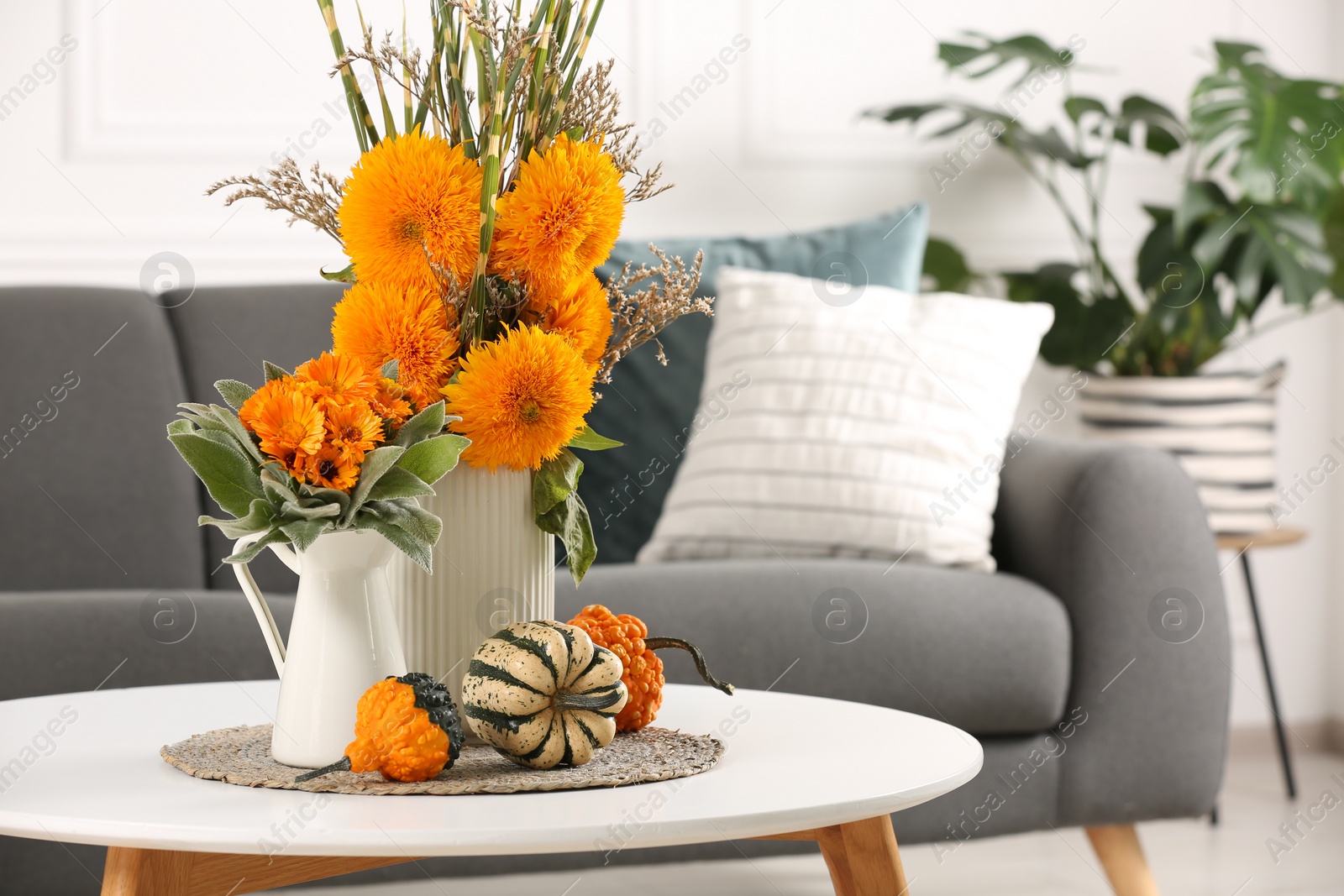 Photo of Beautiful autumn bouquets and pumpkins on coffee table near sofa in room
