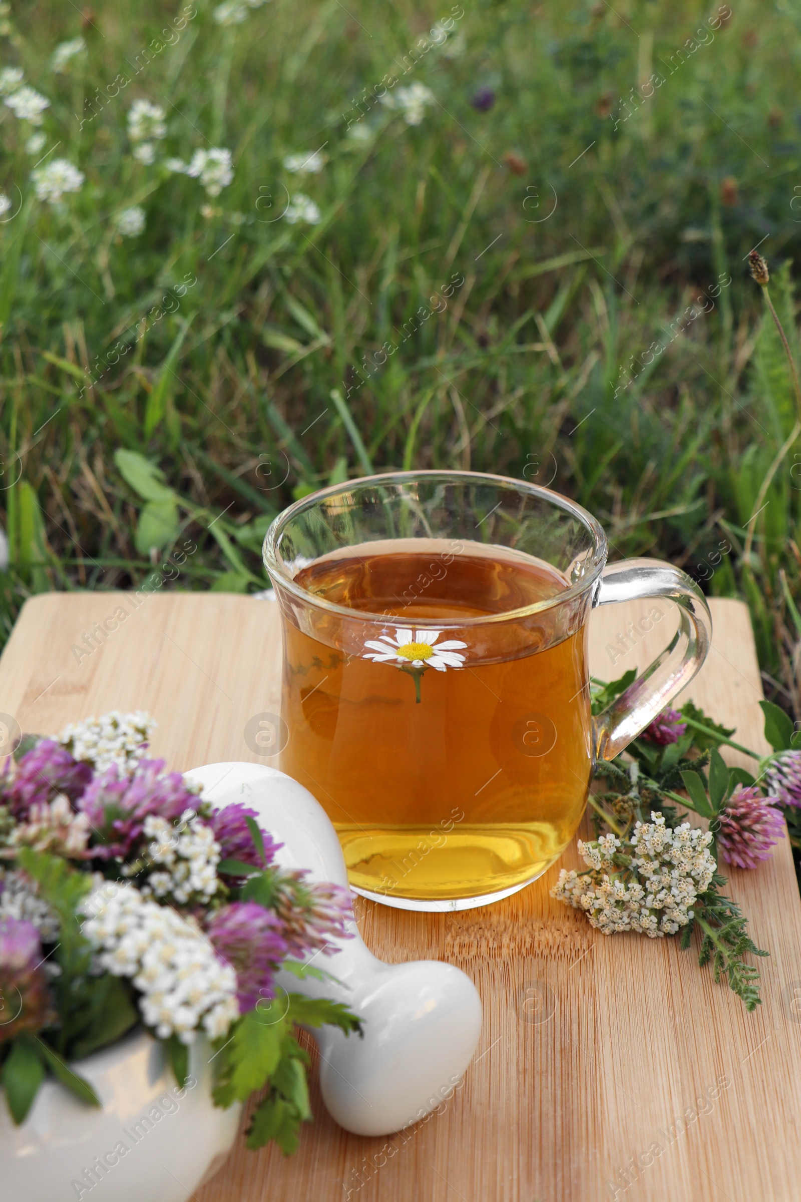 Photo of Cup of aromatic herbal tea, pestle and ceramic mortar with different wildflowers on green grass outdoors