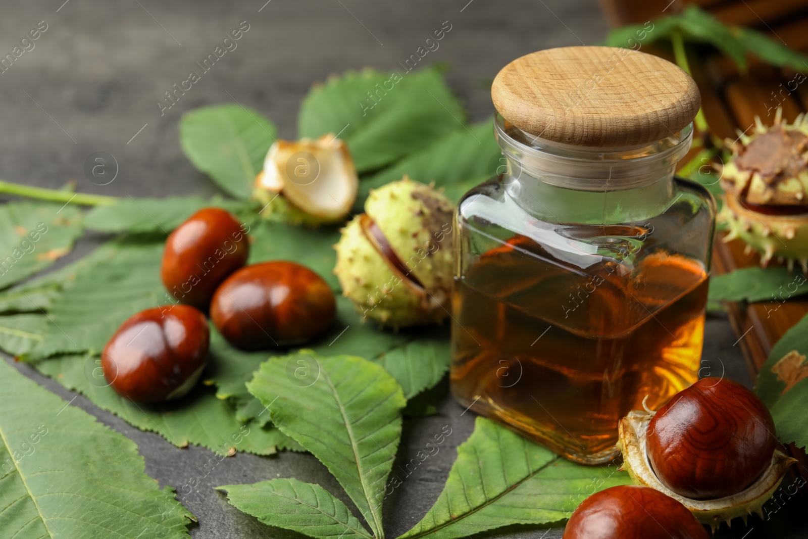 Photo of Chestnuts, leaves and jar of essential oil on grey table