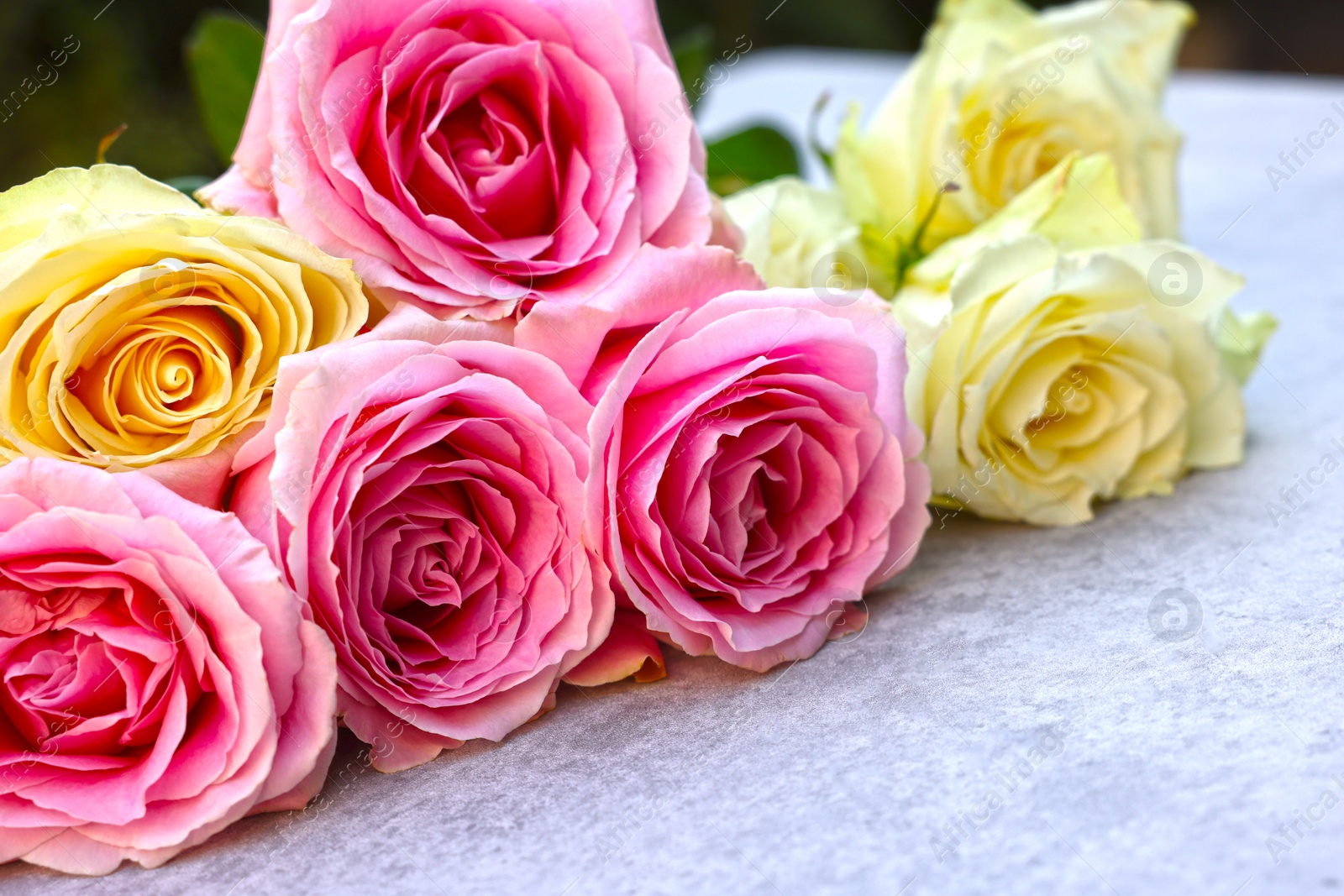 Photo of Beautiful bouquet of roses on light grey table outdoors, closeup