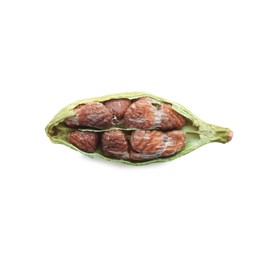 Dry green cardamom pod isolated on white, top view