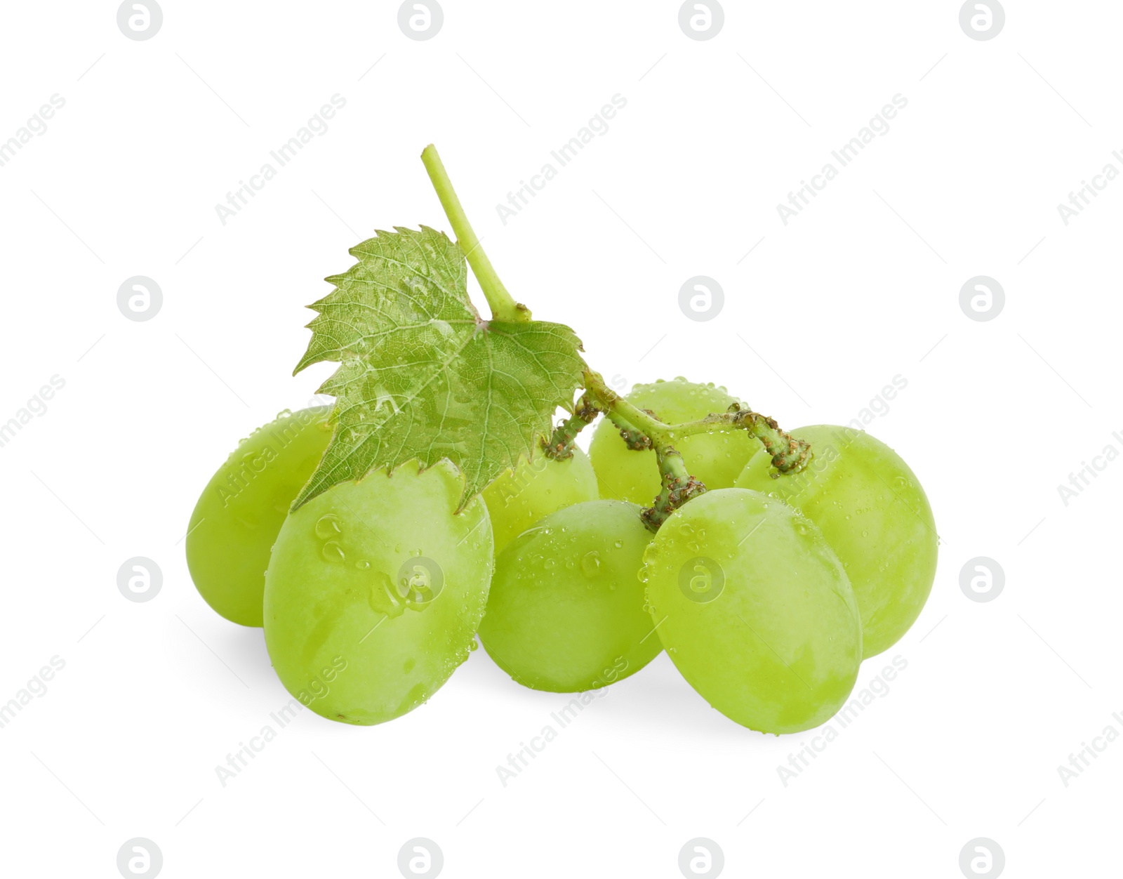 Photo of Fresh grapes with leaf and water drops isolated on white