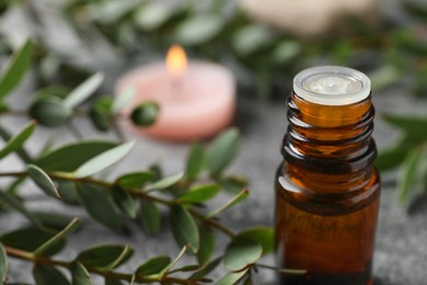 Photo of Bottle of eucalyptus essential oil and plant branches on grey table, space for text