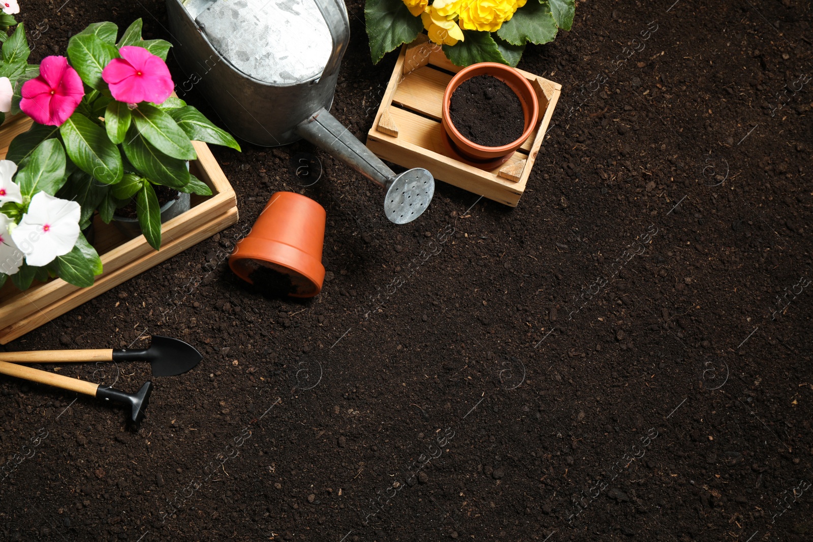 Photo of Flat lay composition with gardening tools and flowers on soil, space for text