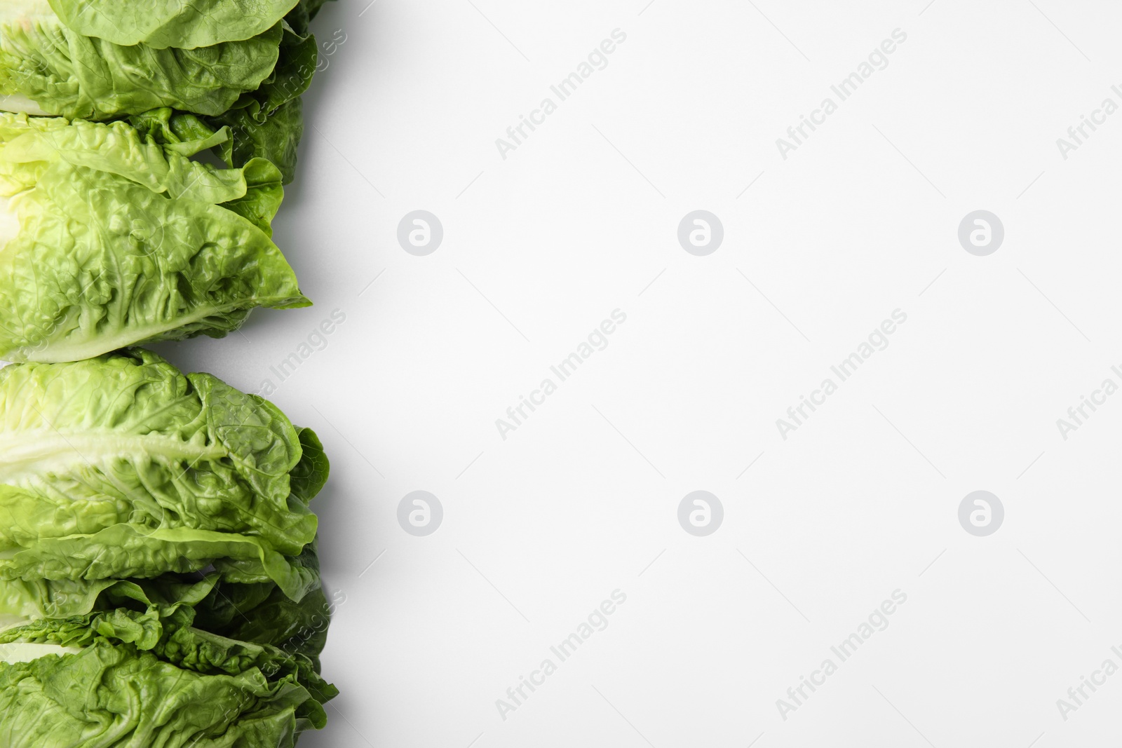 Photo of Fresh green romaine lettuces isolated on white, top view