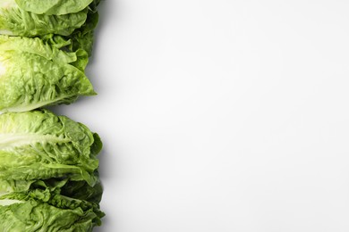 Photo of Fresh green romaine lettuces isolated on white, top view