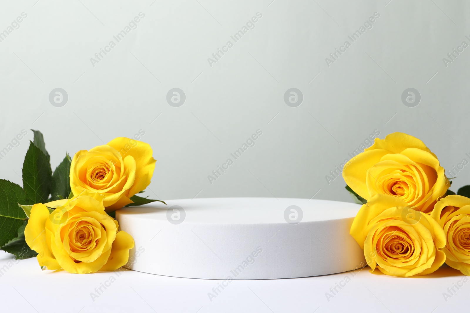 Photo of Beautiful presentation for product. Round podium and yellow roses on white table against light grey background, space for text