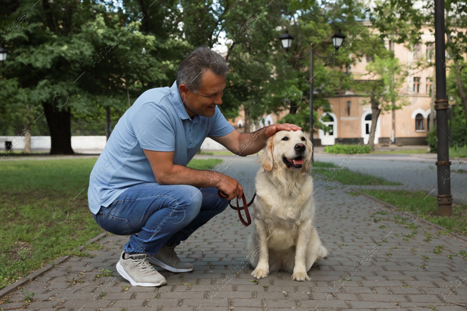 Photo of Happy senior man with his Golden Retriever dog in park