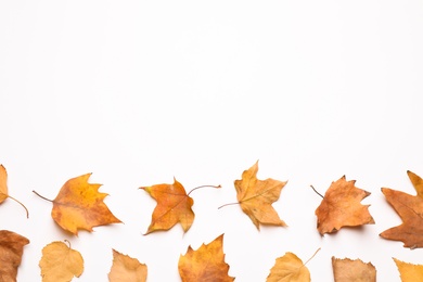 Flat lay composition with autumn leaves and space for text on white background