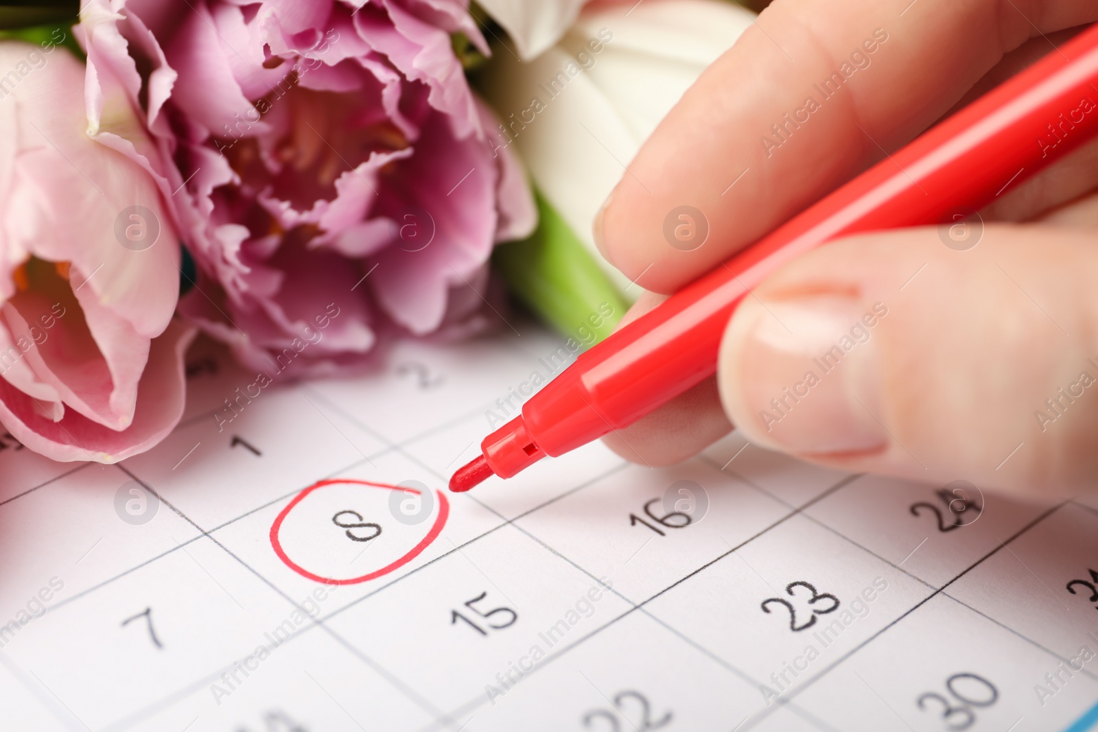 Photo of Person marking date 8th of March in calendar, closeup. International Women's Day